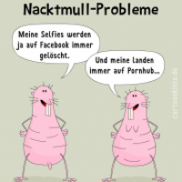 Nacktmull-Probleme