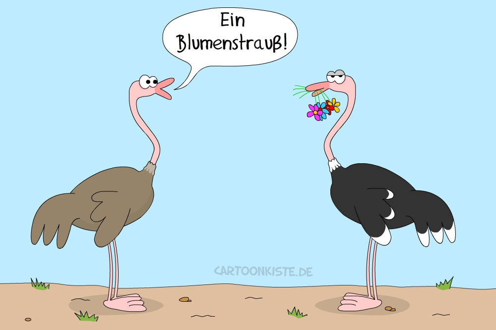 Cartoon: Blumenstrauß 1
