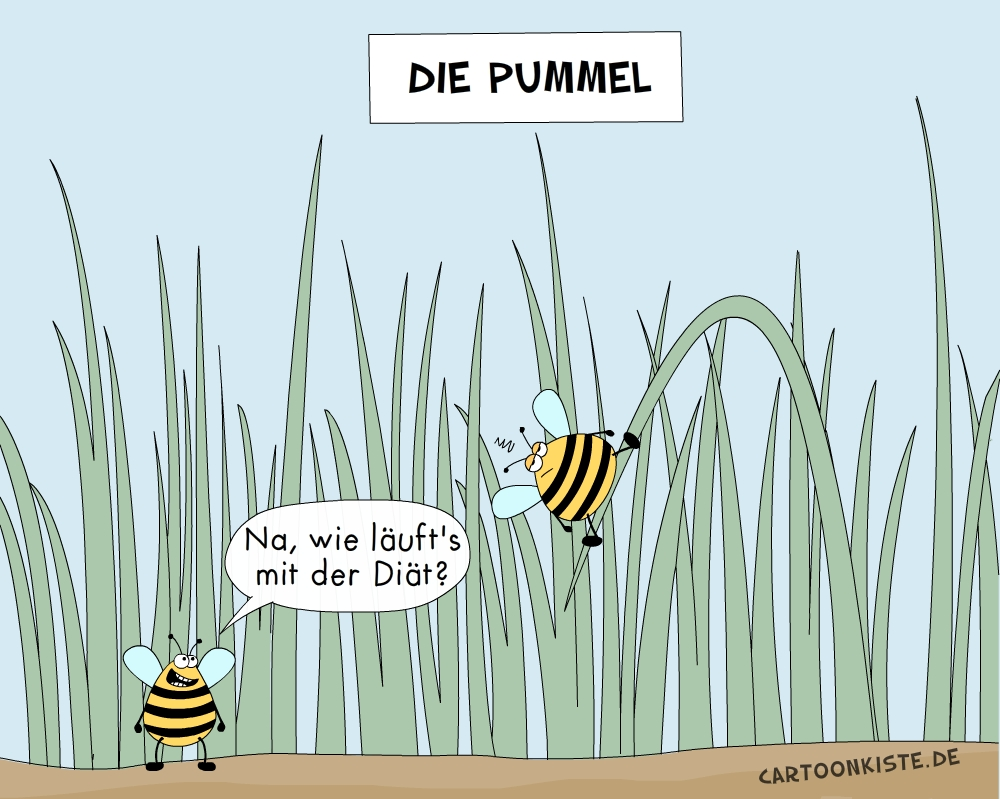 Cartoon: Die Pummel 1