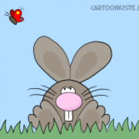 Hasi