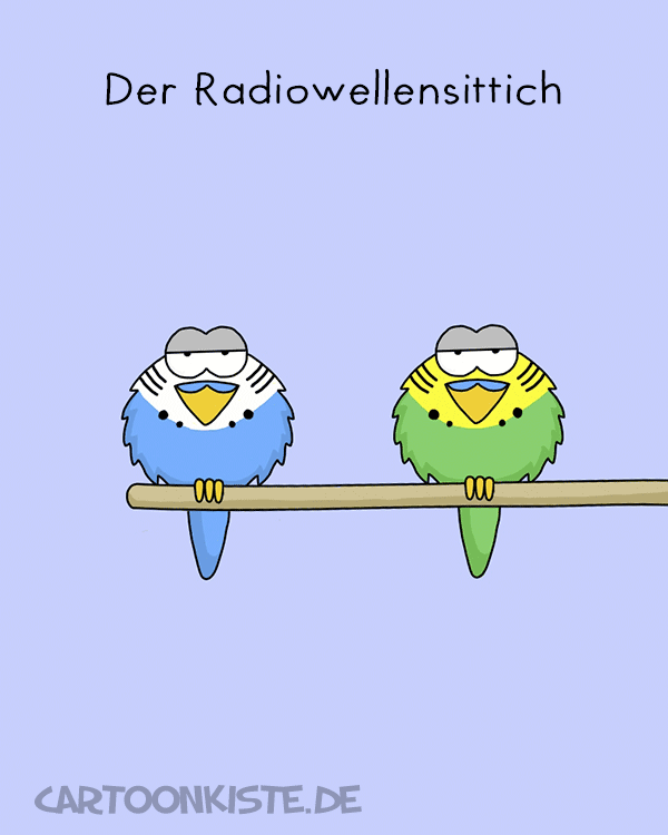 Animation: Radiowellen 1