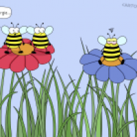 Allergie