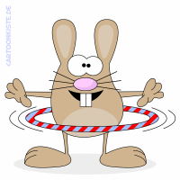 Hula Bunny