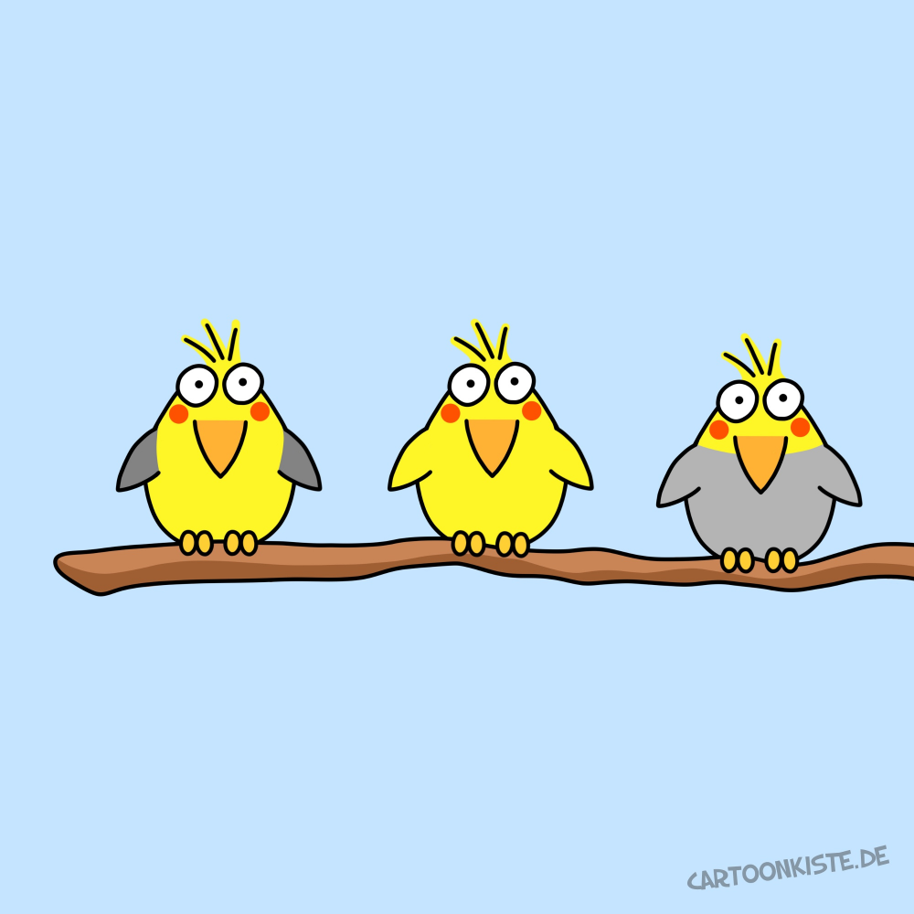 Illustration: Federlies 1