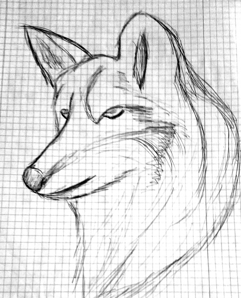 Anderes: Wolf 1