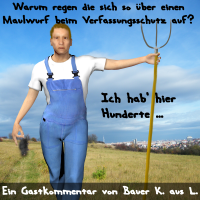 Maulwurf im Amt für Verfassungsschutz