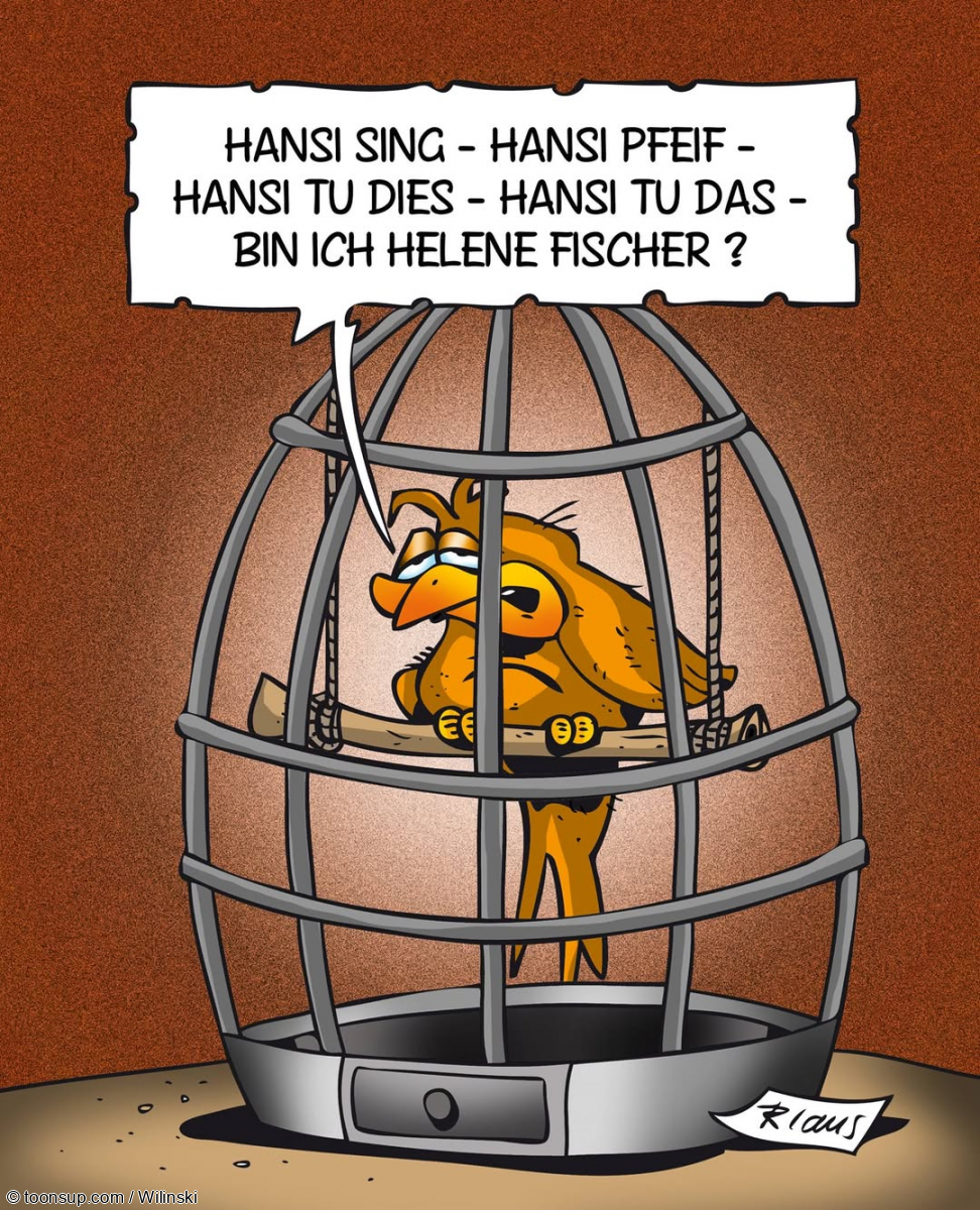 Cartoon: Helene Fischer 1