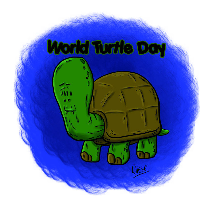 Illustration: Turtle Day 1