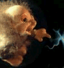 avatar.png