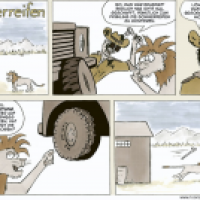 Sommerreifen