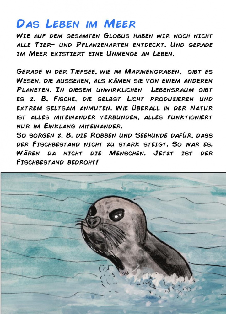 Comic: oho Minizine 13